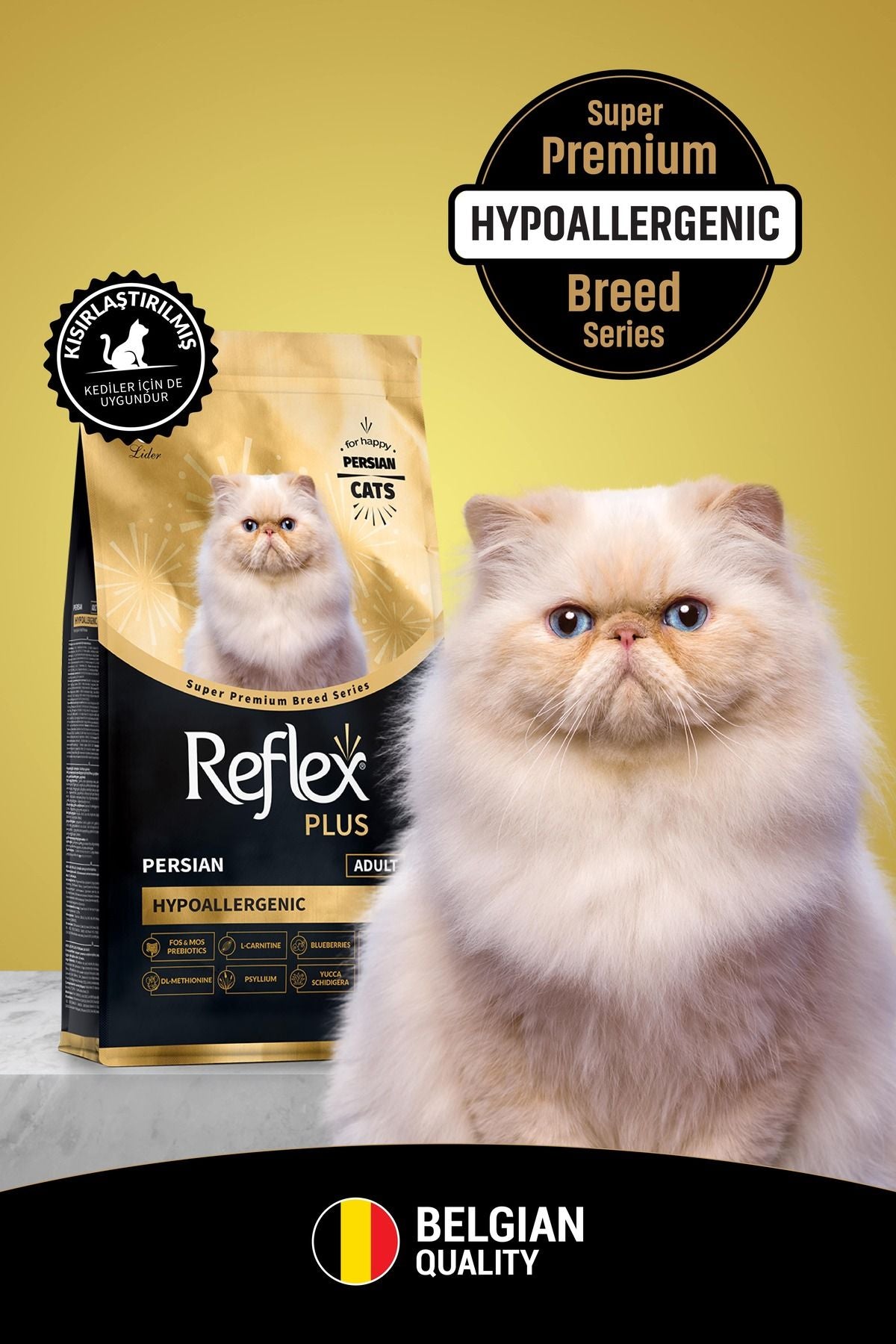 Reflex plus, Persian, Kotele, 1.5 kg.